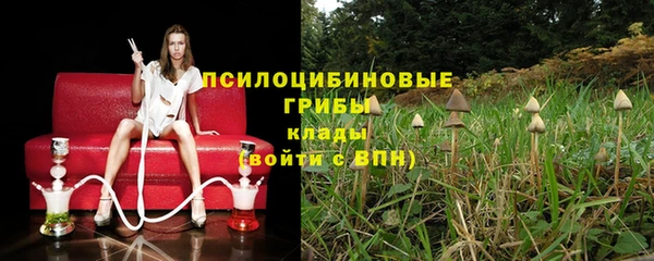 бошки Абаза