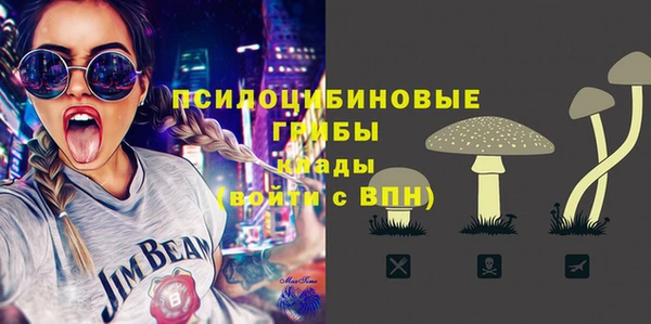 дживик Алзамай