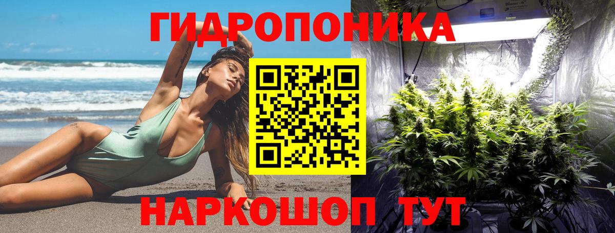 Марихуана индика  Канабис гибрид  Шишки марихуана гибрид  Саки  Марихуана OG Kush  Вход с VPN 